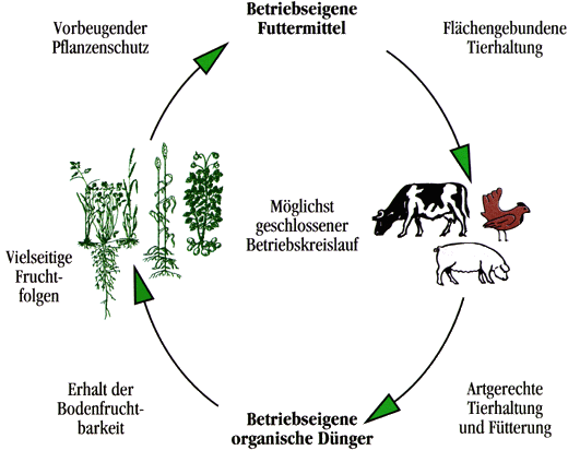 Kreislauflandwirtschaft